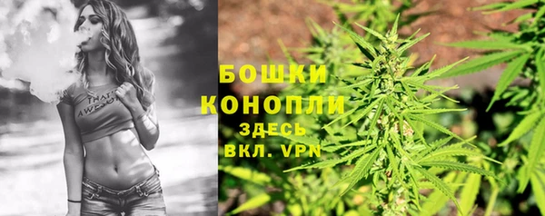 мяу мяу мука Надым