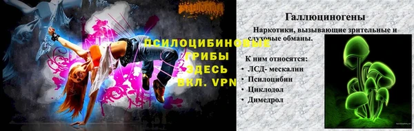 мяу мяу мука Надым