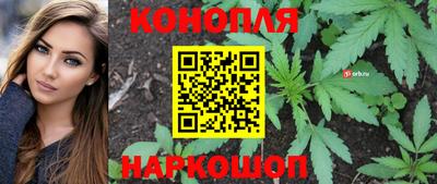 амф Гусь-Хрустальный