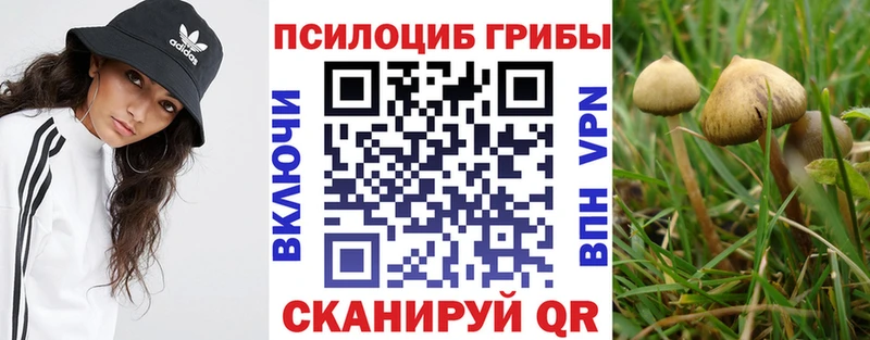 купить закладку  гидра ссылки  Галлюциногенные грибы мухоморы  Благовещенск 