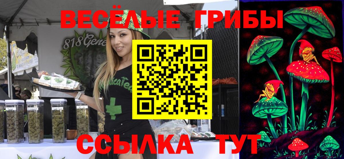 Благовещенск  Галлюциногенные грибы Psilocybine cubensis  Вход с VPN 