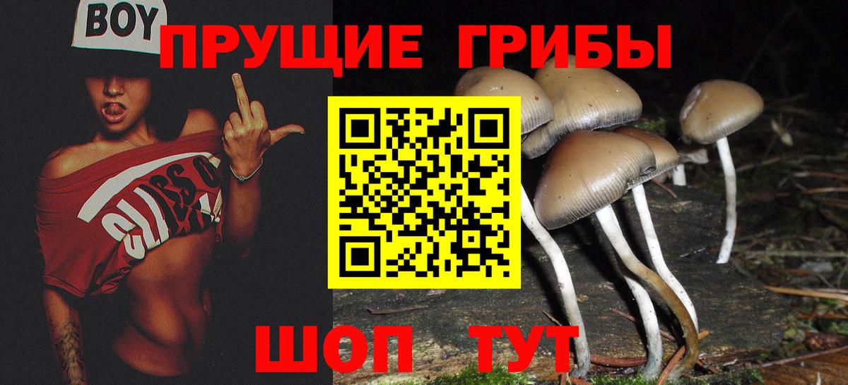 Галлюциногенные грибы Psilocybine cubensis Благовещенск